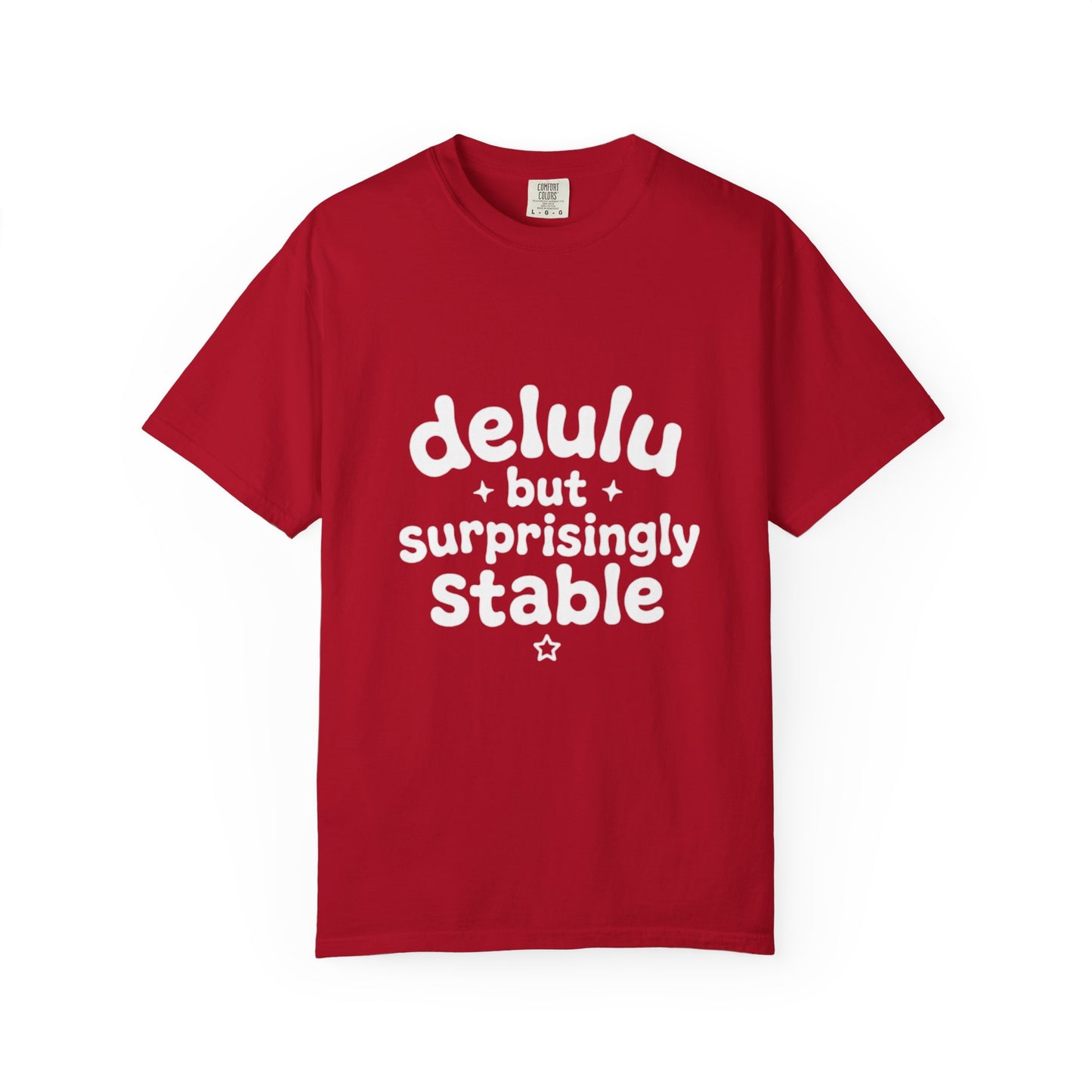T-Shirt  -Delulu But Surprisingly Stable Graphic