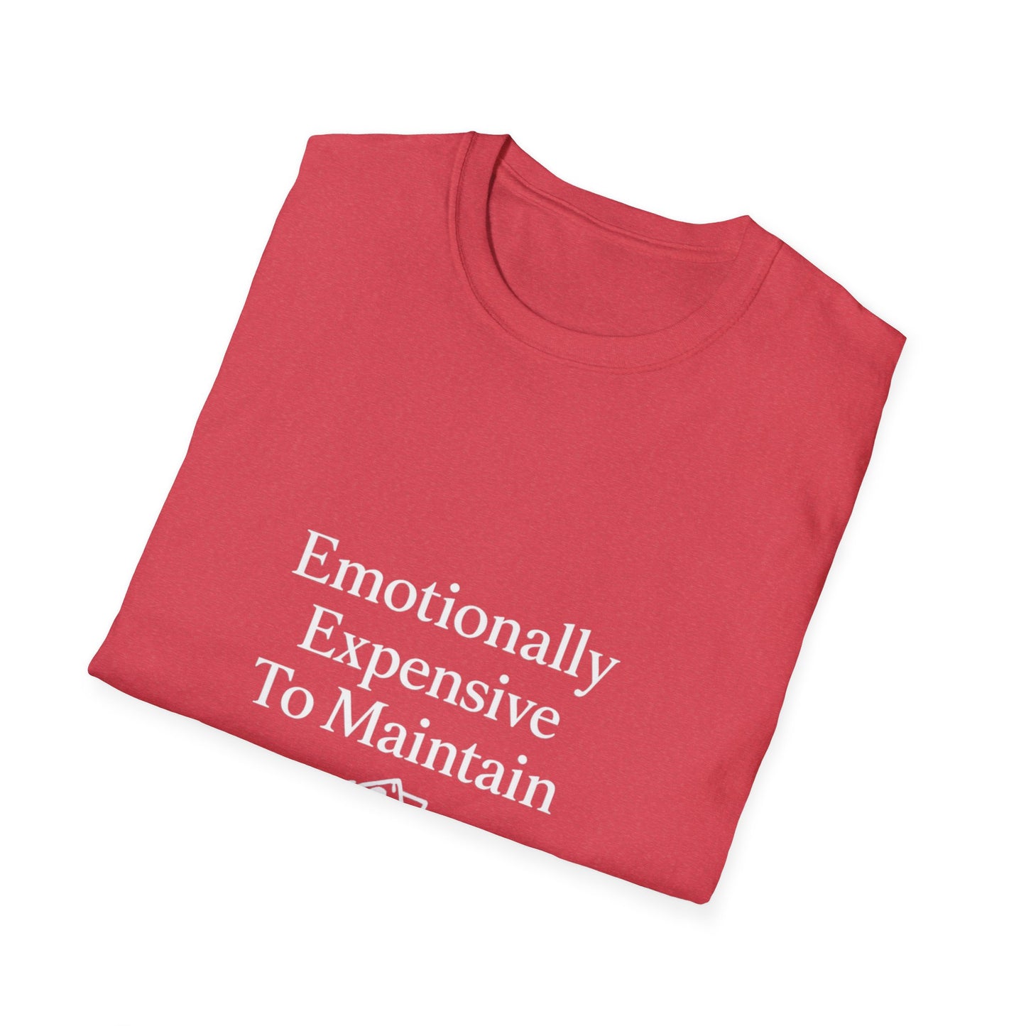 Emotionaly Expensive To Maintain T-shirt, Tee