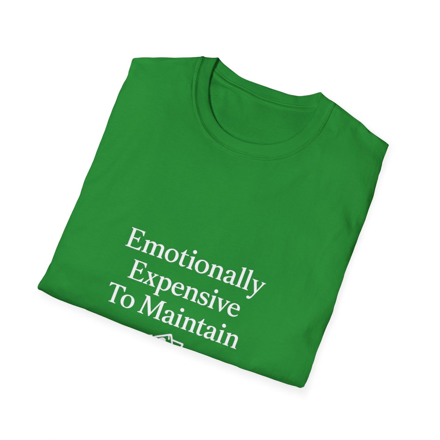 Emotionaly Expensive To Maintain T-shirt, Tee