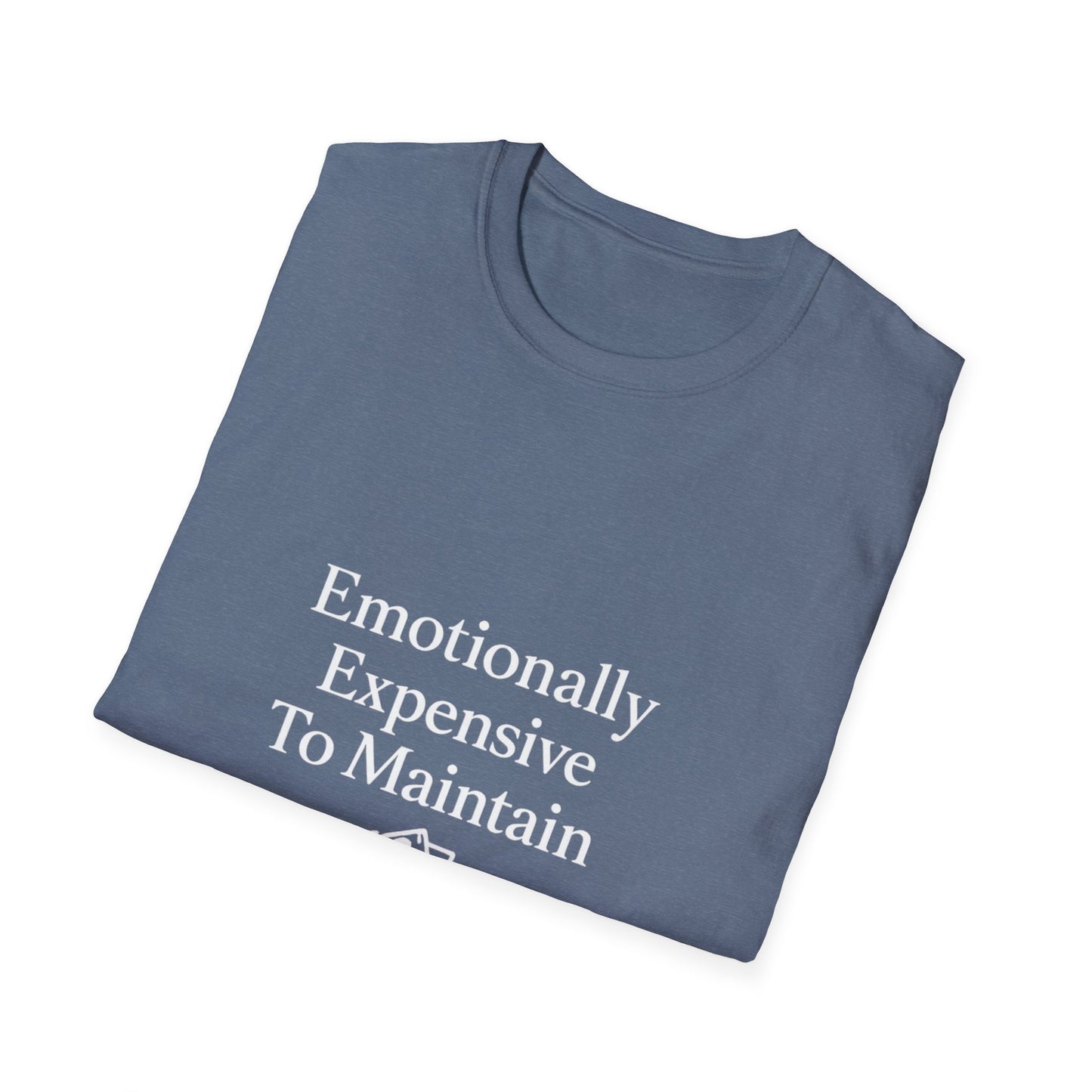 Emotionaly Expensive To Maintain T-shirt, Tee