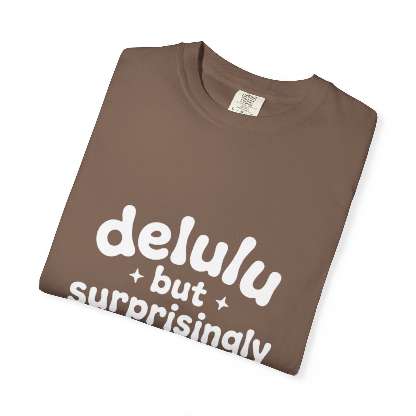 T-Shirt  -Delulu But Surprisingly Stable Graphic