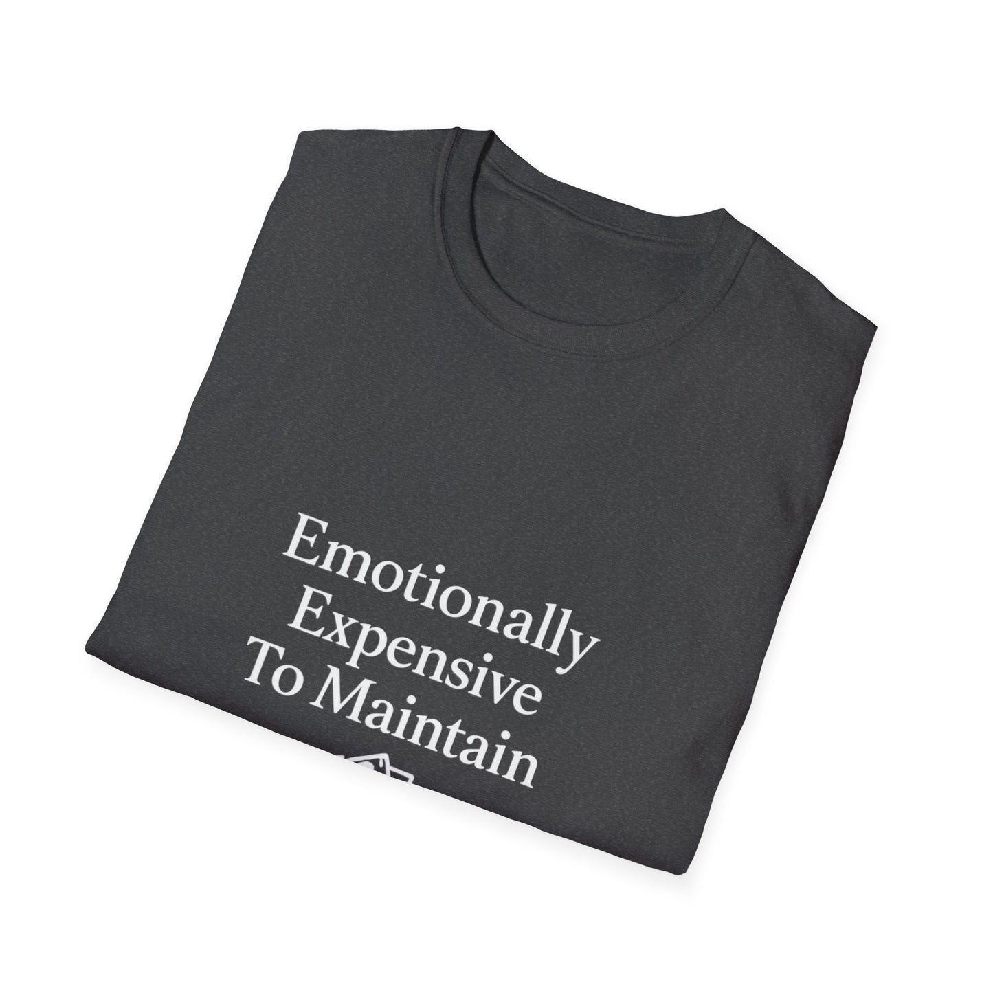 Emotionaly Expensive To Maintain T-shirt, Tee